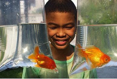 《都市传说解体中心》将制作漫画 好评灵异冒险